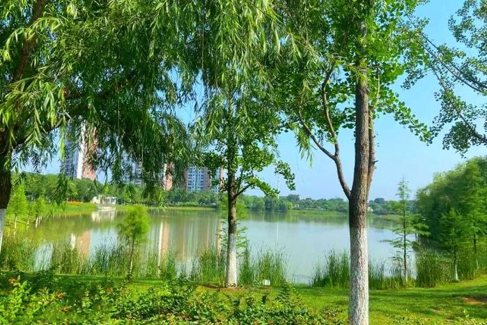 武汉市韵湖公园是武汉市最大的社区型湖泊公园,投资4500万,利用生态修