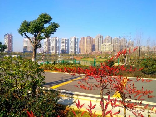 武汉韵湖公园风景